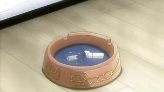 Vivid hottie's japan action