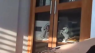 Slaveofm Hell of Hurt: Whip, CBT, Electricity and Nasty Clamps - Part 7 V. 8