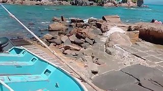 Horny mermaid sex story