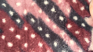 Indian Bhabhi Blowjob Homemade Sex Video