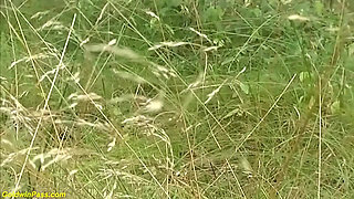 Sweet beauty skinny long legs German teen wild outdoor fucked