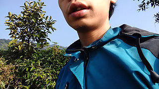 Walking Through a Beautiful Tea Plantation  Relaxing Nature Adventure