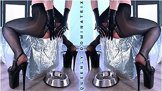 Queenly Dominatrix - You Only Exist When I S**t