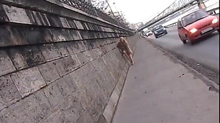 This Beautiful Busty Girl Masturbates on the Street and Gives a Blowjob at Home