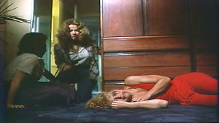 Roommates (1982, US, Chuck Vincent, Veronica Hart, 720p)