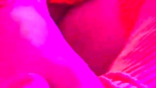 Sloppy Blowjob, Foot Job and Fucking? Jinkies!