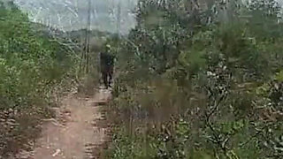 Dominated in the Forest 8
