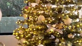 Claire Stone Bare-breasted Christmas Taunt Movie Leaked