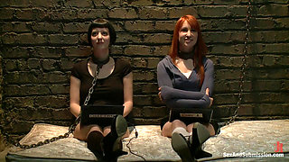 Calico and Cherry Torn's Live Feed