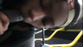 Brain's Blowjob on the Bus