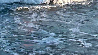 Try Not to Wet My Hair While Play with the Waves