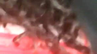 Youngenglishbbw BBc Nata4sex Pounding my ass back sit of my car