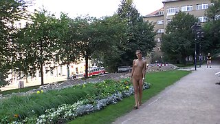 Brunette Flashing Her Titties And Pussy Outdoors In Public