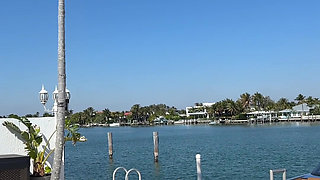 My Neighbours Love Me