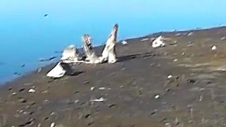 Amateur Latina Flashing Pussy and Ass River Bank