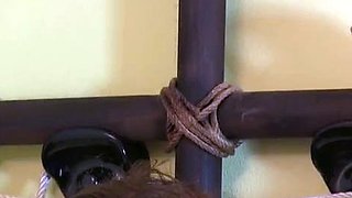 Kicking Jesus In The Balls! FemDom