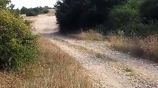 Amateur Outdoor Brunette Masturbates