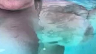 Bustys Cam Webcam Big Boobs Free Big Boobs Cam Porn Video