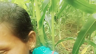Sister-in-law called me to the field of maize today and sister-in-law sucked my cock and removed the water, then I picked up sister-in-law's two legs and fucked my sister-in-law loudly.