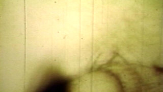 Worn Sepia Loop Captures Curly Retro Couple in Raw Bedroom Passion