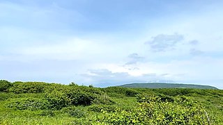 Busty curly brunette with big boobs fucks on couch