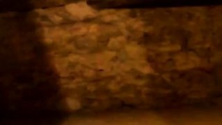 My Slave Walks Naked and Pees in the Streets and then I