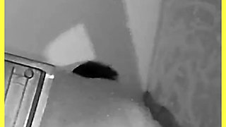 Squirting Leaves My Bed All Wet