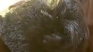 3 Some with Best Friends Noone Home Hardcore Desi Style Sex Threesome