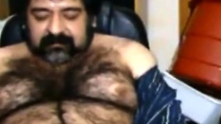 Big hairy bear and hairy body