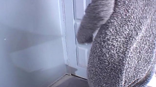 Busty MILF Takes on Two Fat Dicks in Amazing Threesome Action