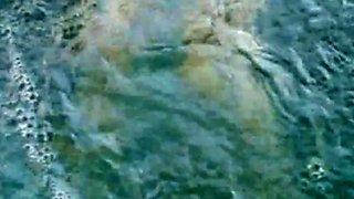 Bikini Beauty Gets Naughty in the Water This Summer