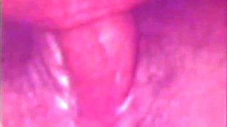 Disgusting Perverted Sucker With Vanessa Del Rio