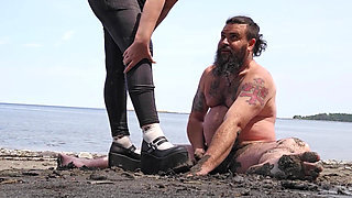 Gaspesie Cock Trampling