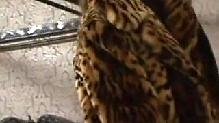 Masked man big cock pinching humiliating
