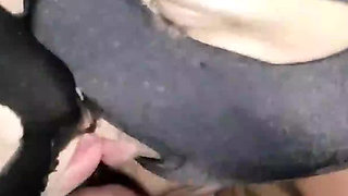 [subtitles]hotwife's Masked Bi MMF with Hubby's First BBC Suck and Interracial Humiliation