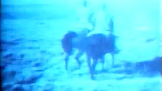 Die geilen Fernsehtechniker im Einsatz.Ekstase Film.avi