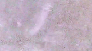 Fuck Part 4 Porn House