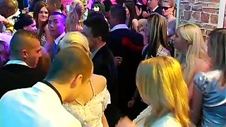 Whorish bride goes wild at the wedding party