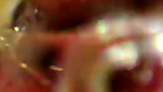 Inside Me the Journey of the Orange