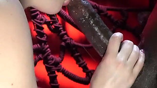 From the Second This Whore Touched My Cock I Could Tell I'd Be Worshiped