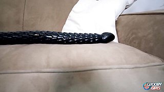 Gorgeous doxie - tattooed tgirl trailer - Grooby Girls